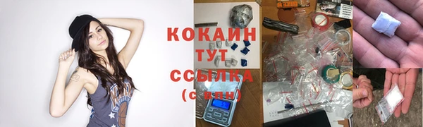 кокс Баксан