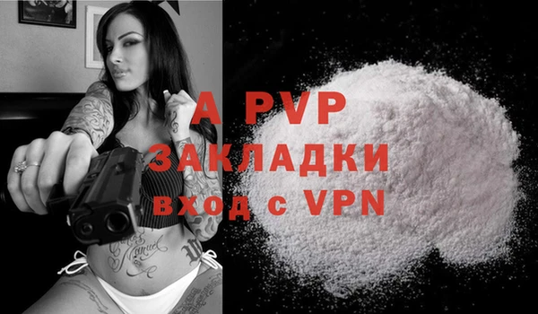 кокс Баксан